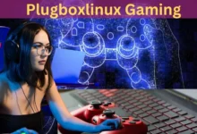 PlugboxLinux gaming