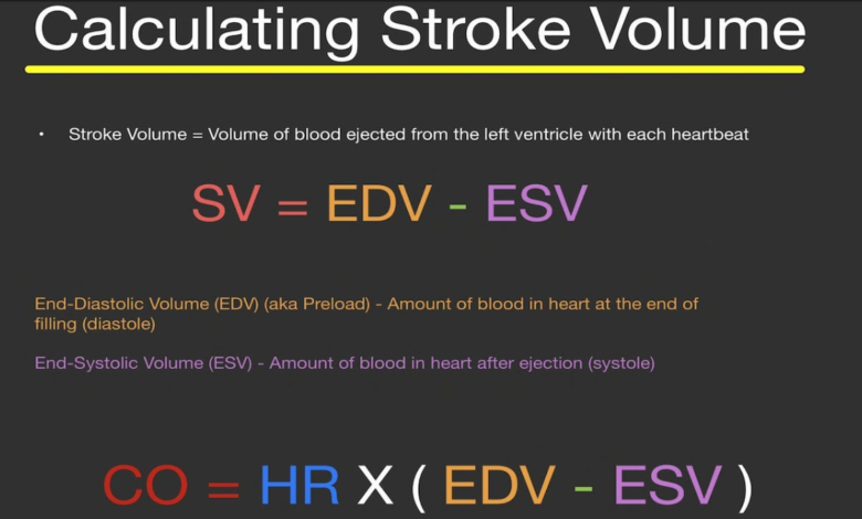 stroke volume equation